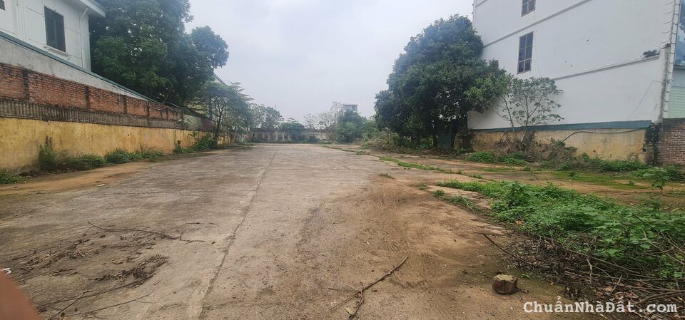 Bán ô đất thương mại dịch vụ mặt đường Nguyễn Tất Thành, Tích Sơn, Vĩnh Yên. Lh: 0986934038