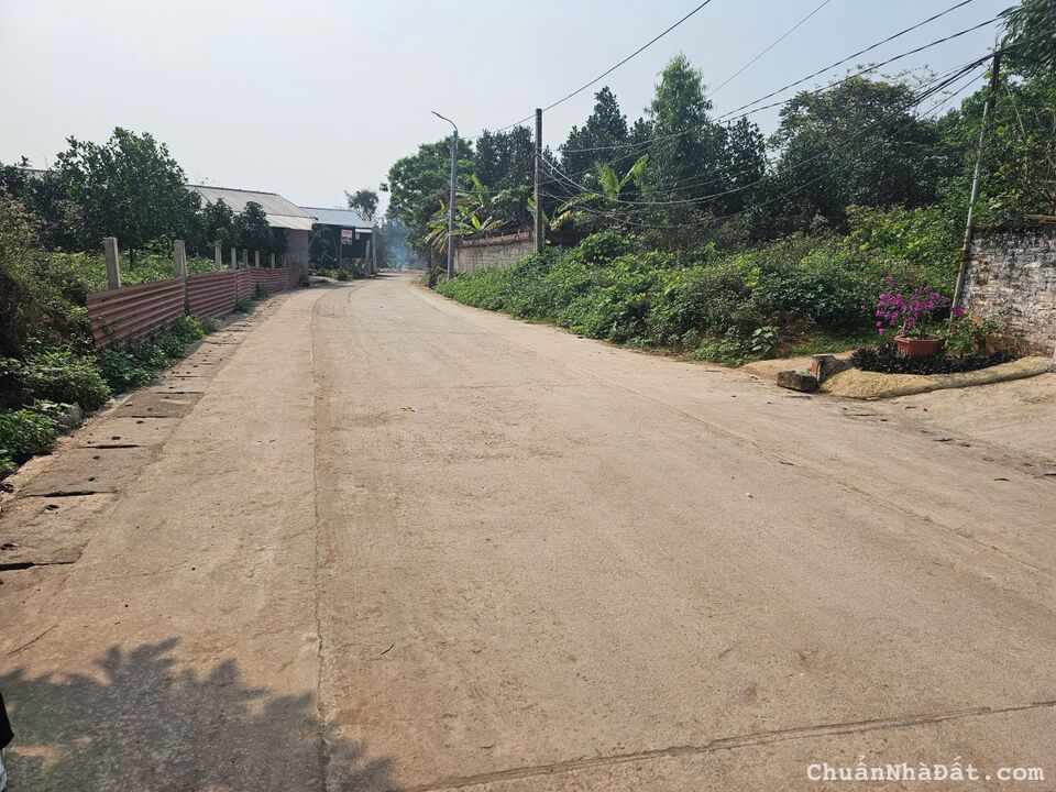 Bán đất giá rẻ full thổ cư tại thôn Phú Ninh, Thanh Vân, Tam Dương, Vĩnh Phúc. Lh: 0986934038