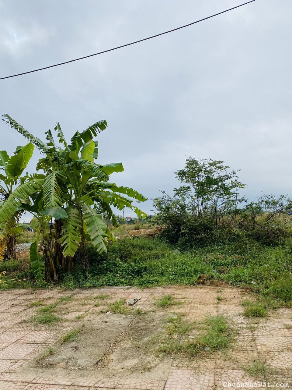 Bán lô đất kinh doanh trục chính đi Duy Phiên, Đống Lâu, Thanh Vân, Tam Dương, Vĩnh Phúc. 