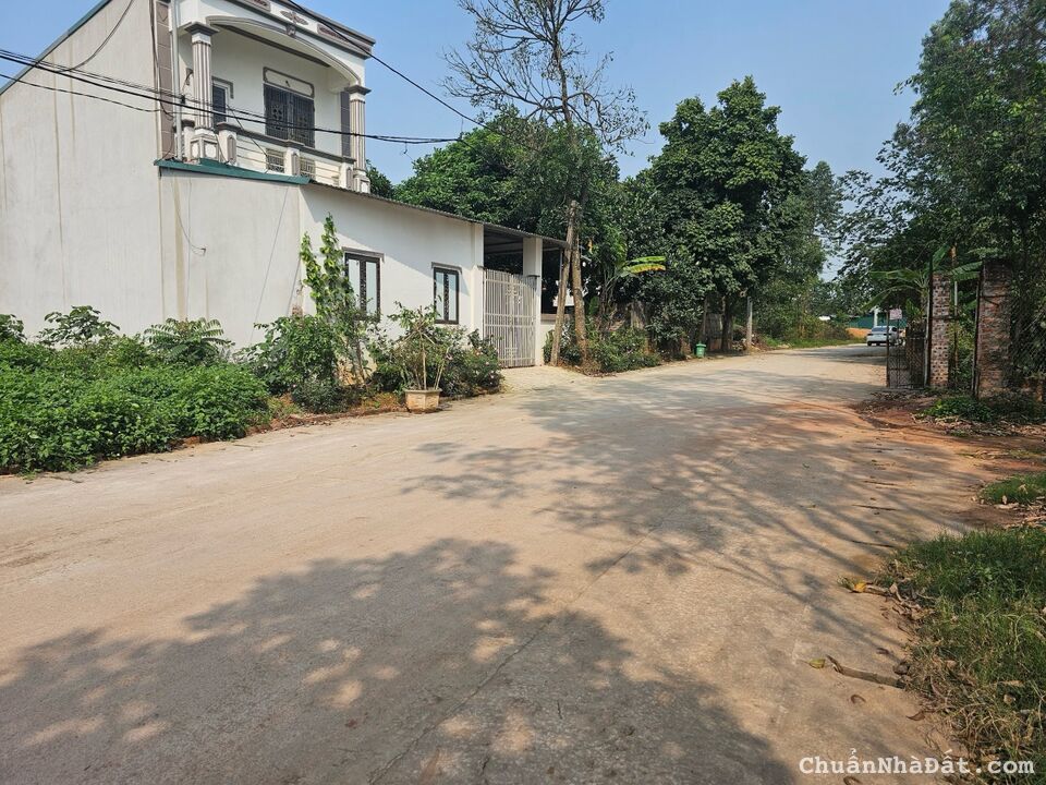 Bán đất giá rẻ full thổ cư tại thôn Phú Ninh, Thanh Vân, Tam Dương, Vĩnh Phúc. Bán đất giá rẻ full thổ cư tại thôn Phú Ninh, Thanh Vân, Tam Dương, Vĩnh Phúc.