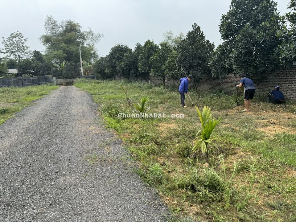 Bán ô góc đất rừng đẹp làm trang trại cực kỳ chất tại Thanh Vân, Tam Dương, Vĩnh Phúc. Bán ô góc đất rừng đẹp làm trang trại cực kỳ chất tại Thanh Vân, Tam Dương, Vĩnh Phúc.