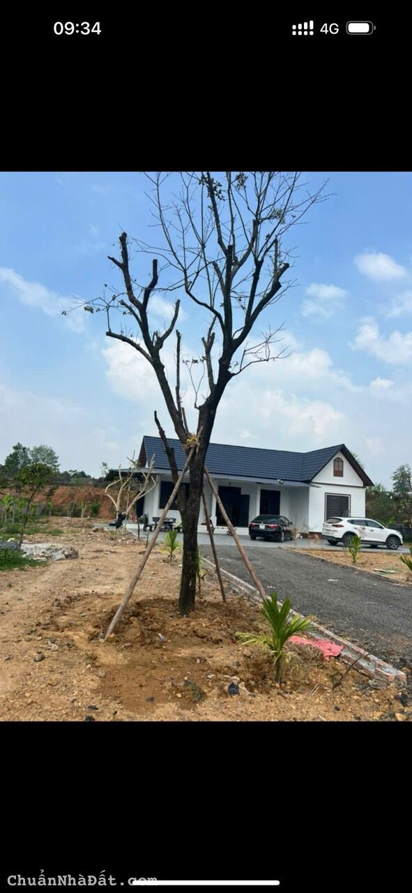 Bán ô góc đất rừng đẹp làm trang trại cực kỳ chất tại Thanh Vân, Tam Dương, Vĩnh Phúc. Bán ô góc đất rừng đẹp làm trang trại cực kỳ chất tại Thanh Vân, Tam Dương, Vĩnh Phúc.