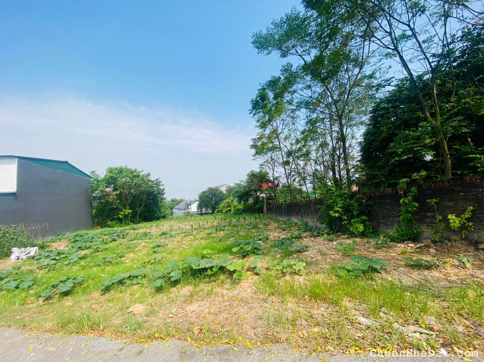 Bán đất trục chính Hữu Thủ, Kim Long, Tam Dương, Vĩnh Phúc. Lh: 0986934038