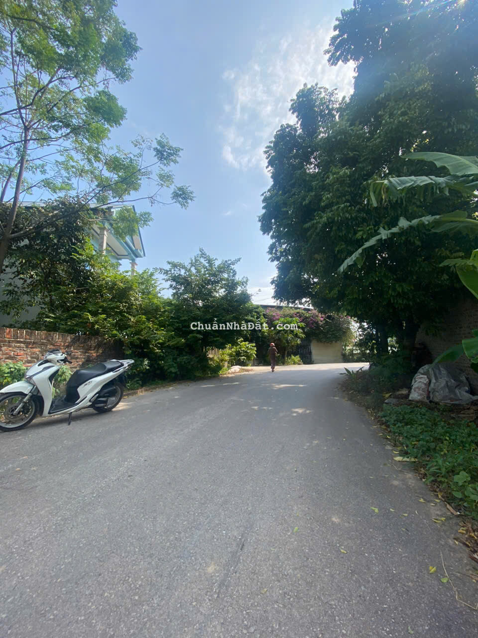 Bán đất trục chính Hữu Thủ, Kim Long, Tam Dương, Vĩnh Phúc. Lh: 0986934038