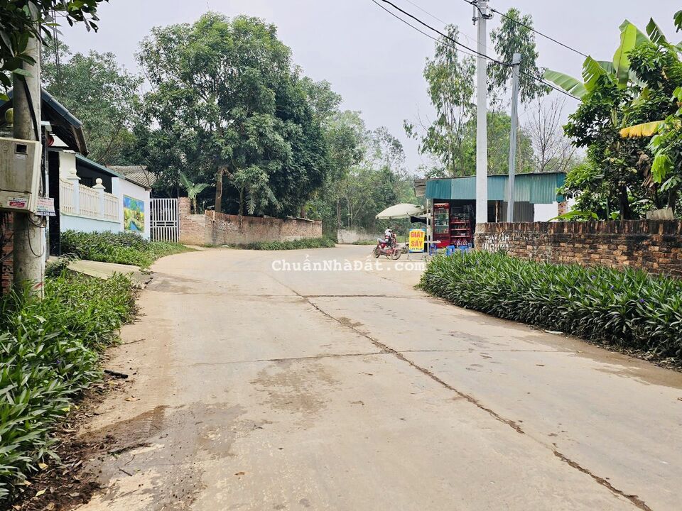 Bán đất trục chính tại thôn Xuân Mới, Thanh Vân, Tam Dương, Vĩnh Phúc. Lh: 0986934038