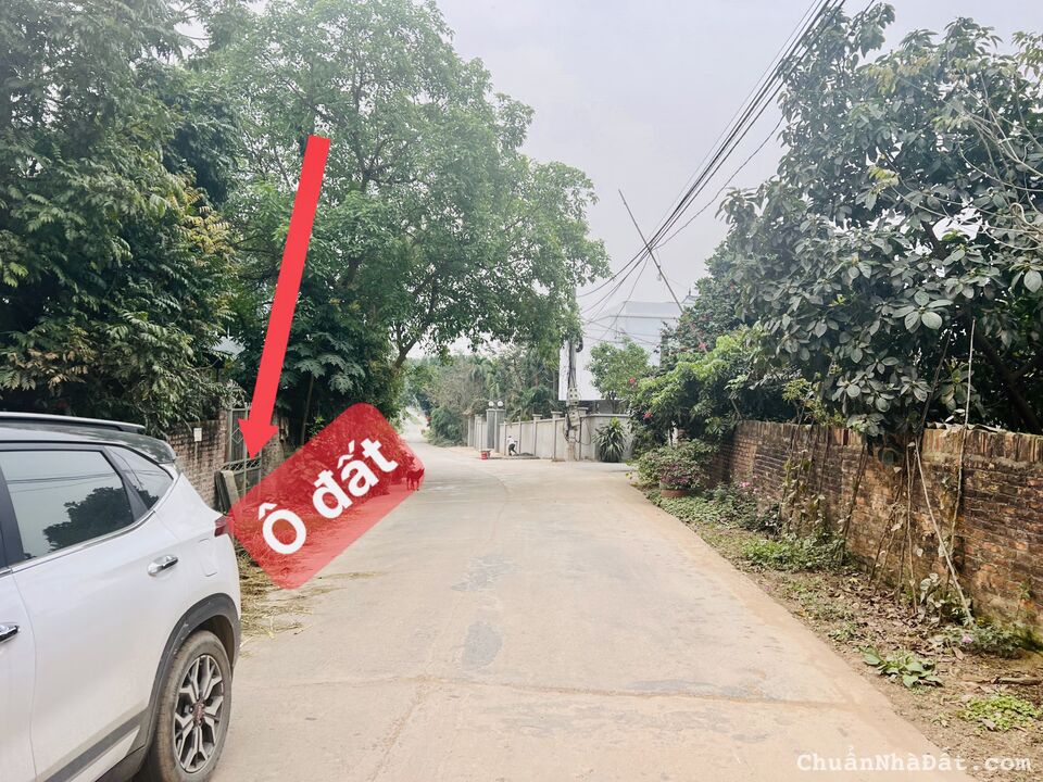 Bán đất trục chính tại thôn Xuân Mới, Thanh Vân, Tam Dương, Vĩnh Phúc. Lh: 0986934038