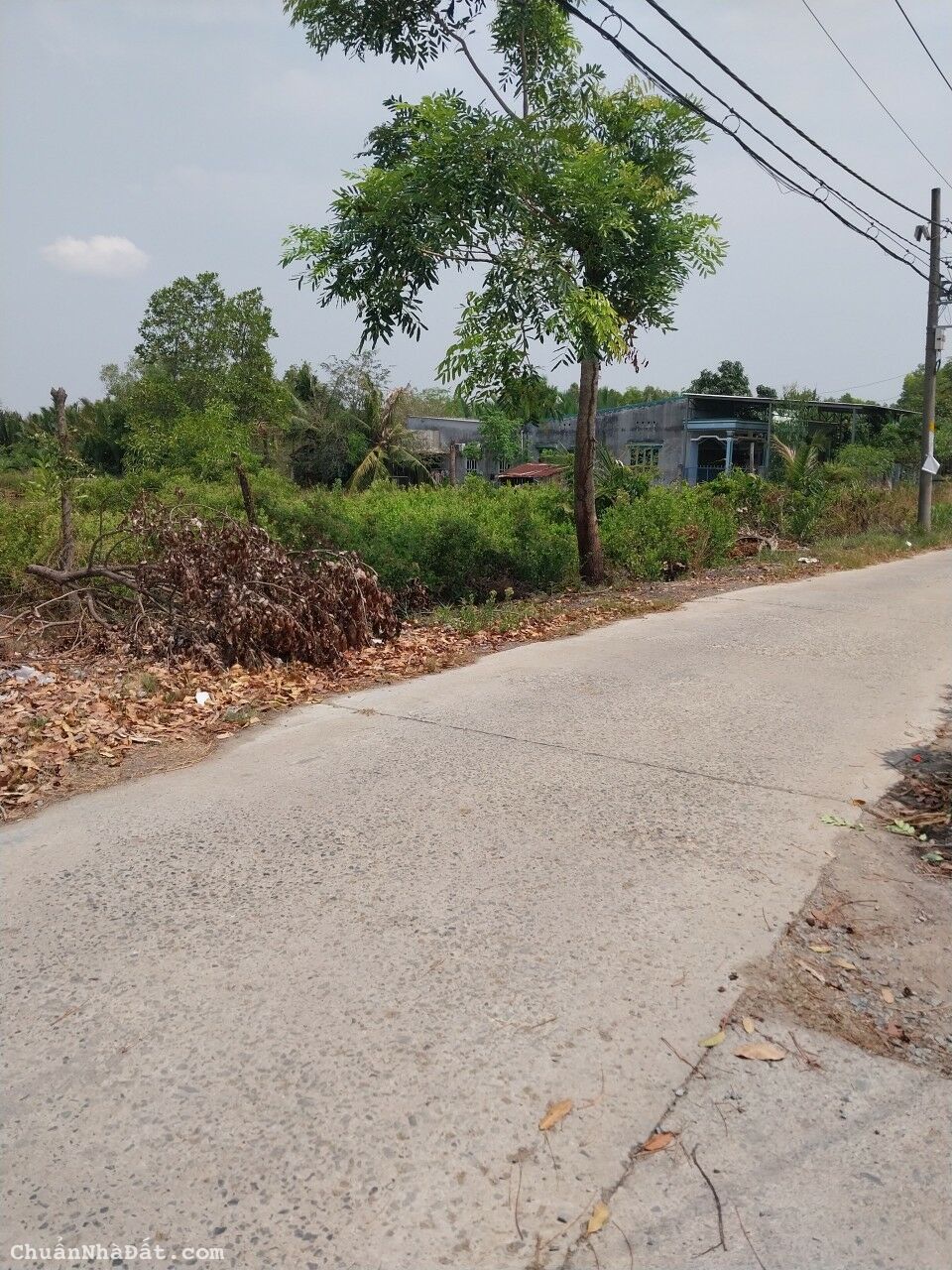 Đất mặt tièn đường Thanh niên xung phong, 2650 m2, chỉ 5 tỷ. Đất mặt tièn đường Thanh niên xung phong, 2650 m2, chỉ 5 tỷ.