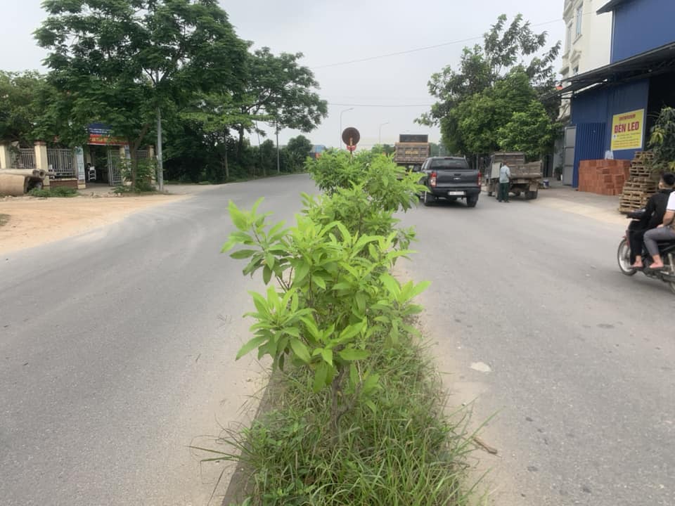 ⭐Bán Nhà Cấp 4 Vườn Dĩn. Kim Hoa. Mê Linh. Hà Nội. 6.65 Tỷ. DT 190m2. MT.8.85 LÔ Góc 3 Mặt Tiền.⭐️ ⭐Bán Nhà Cấp 4 Vườn Dĩn. Kim Hoa. Mê Linh. Hà Nội. 6.65 Tỷ. DT 190m2. MT.8.85 LÔ Góc 3 Mặt Tiền.⭐️