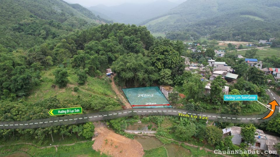 Đất bám đường 12C 20m mặt tiền