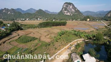 Tổng 891m lô 2 mặt tiền view cánh đồng
