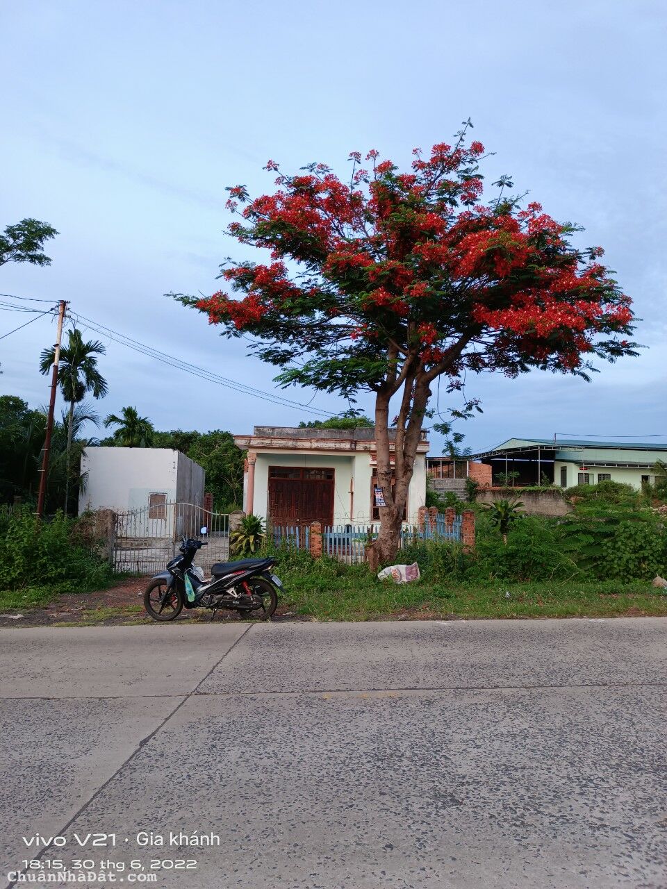 CẦN BÁN GẤP LÔ ĐẤT MẶT TIỀN TL1, BUÔN ĐÔN, ĐẮK LẮK CẦN BÁN GẤP LÔ ĐẤT MẶT TIỀN TL1, BUÔN ĐÔN, ĐẮK LẮK