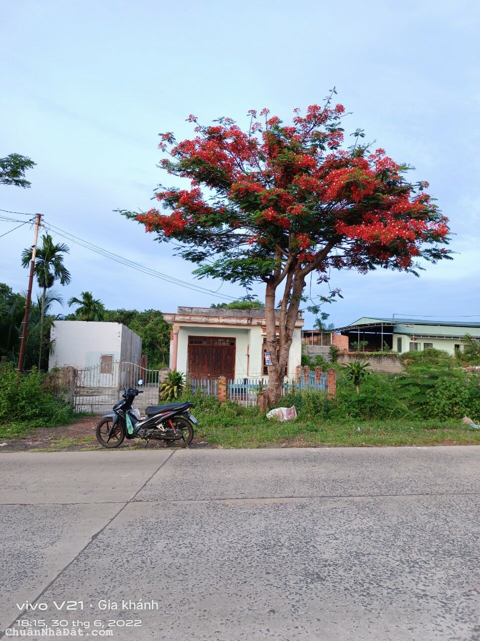 CẦN BÁN GẤP LÔ ĐẤT MẶT TIỀN TL1, BUÔN ĐÔN, ĐẮK LẮK CẦN BÁN GẤP LÔ ĐẤT MẶT TIỀN TL1, BUÔN ĐÔN, ĐẮK LẮK