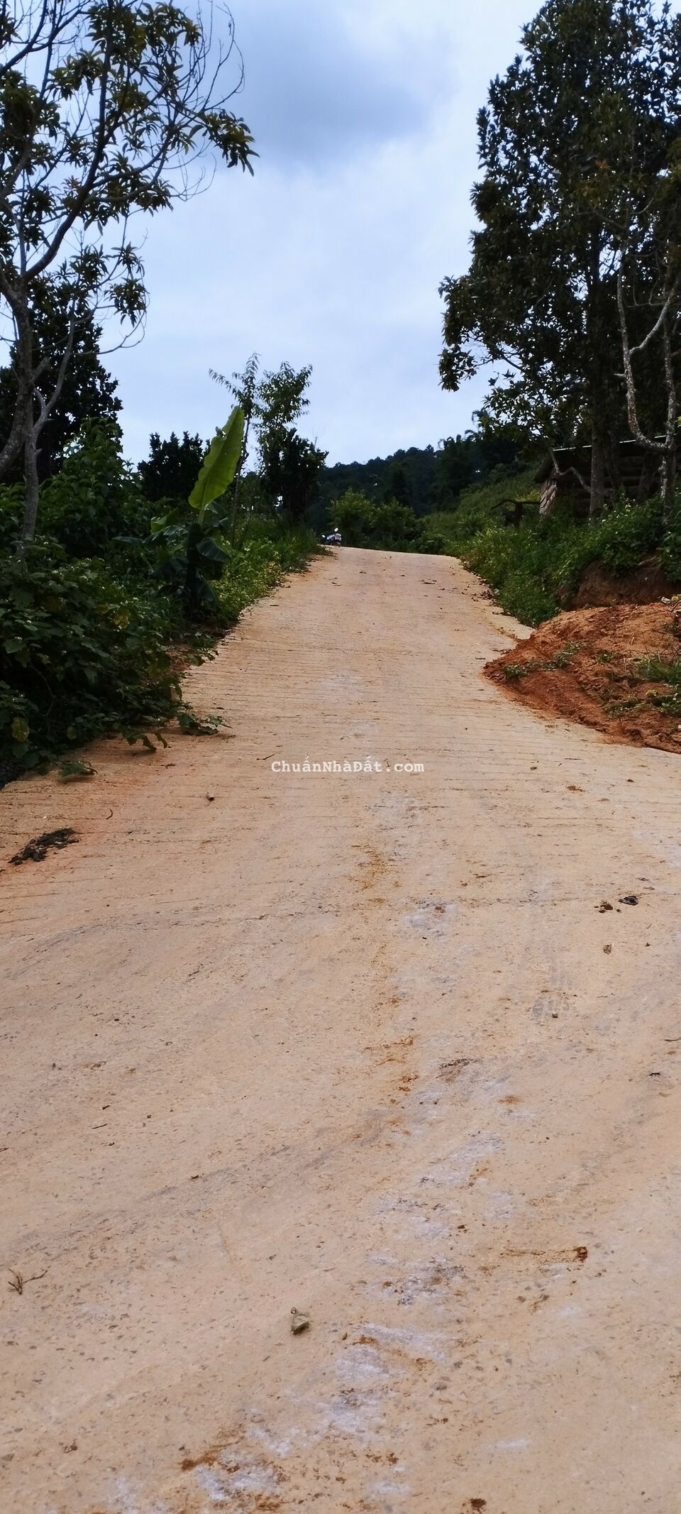 CẦN BÁN NHANH 1.253m2 đất vườn tại Tà Nung, TP.Đà Lạt CẦN BÁN NHANH 1.253m2 đất vườn tại Tà Nung, TP.Đà Lạt