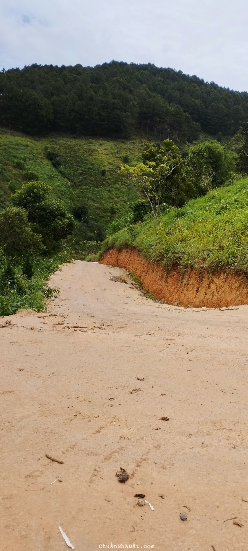 CẦN BÁN NHANH 1.253m2 đất vườn tại Tà Nung, TP.Đà Lạt CẦN BÁN NHANH 1.253m2 đất vườn tại Tà Nung, TP.Đà Lạt