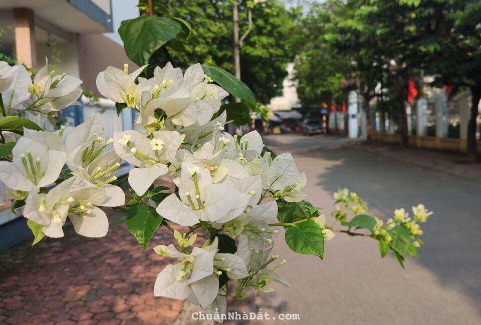 Nhà 2 tầng KINH DOANH tốt ổn định 50m2 Chu Huy Mân Sài Đồng , ô tô ĐỖ CỬA chỉ 5 tỷ