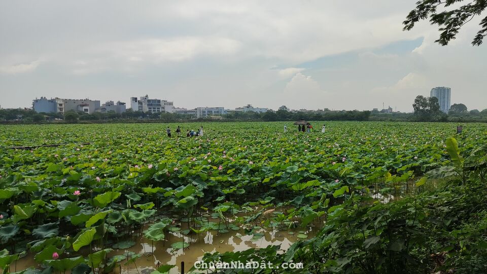 Ở nhà Long Biên - Sướng như tiên - Khỏi lo tiền