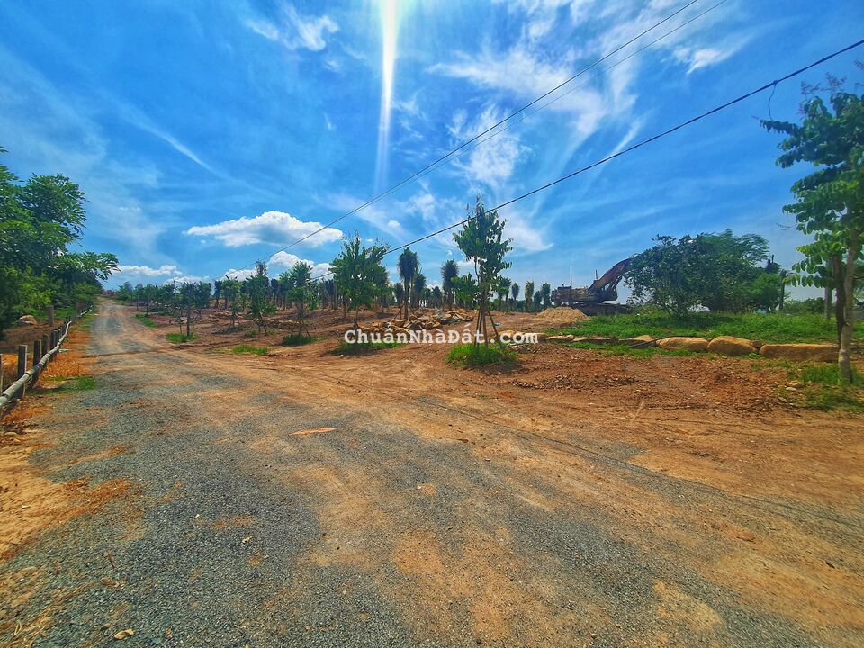 Bán đất Diên Hòa Diên Khánh 1195m² đường 6 mét giá 1.5 tỷ. Gọi ngay 0969876162