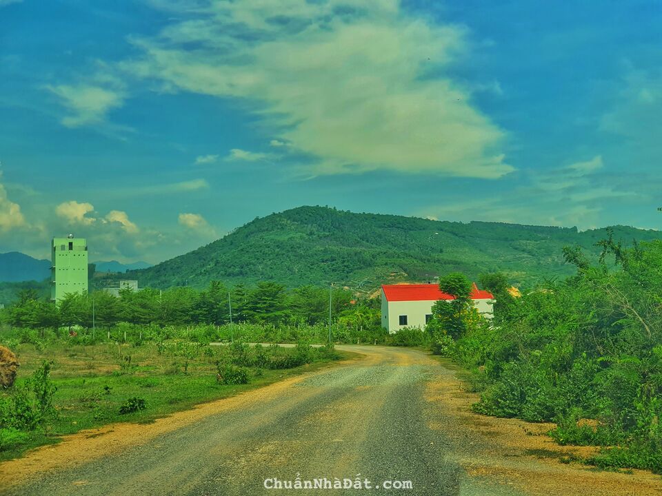 Bán đất Diên Hòa Diên Khánh 1195m² đường 6 mét giá 1.5 tỷ. Gọi ngay 0969876162