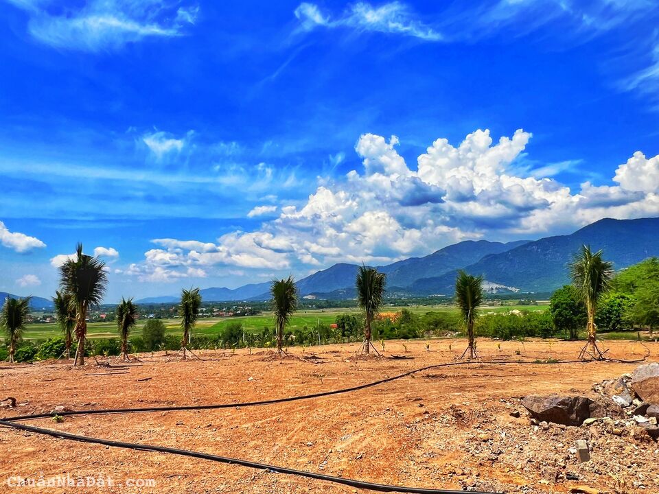 Bán đất Diên Hòa Diên Khánh 1195m² đường 6 mét giá 1.5 tỷ. Gọi ngay 0969876162