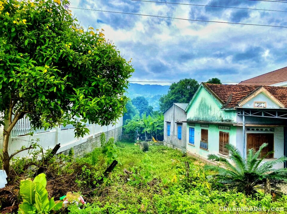 Kẹt tiền hạ giá bán gấp đất thổ cư Quốc lộ 1A Cam Hòa Cam Lâm 384m2 giá 1.2 tỷ. Gọi ngay 0969876162 Kẹt tiền hạ giá bán gấp đất thổ cư Quốc lộ 1A Cam Hòa Cam Lâm 384m2 giá 1.2 tỷ. Gọi ngay 0969876162