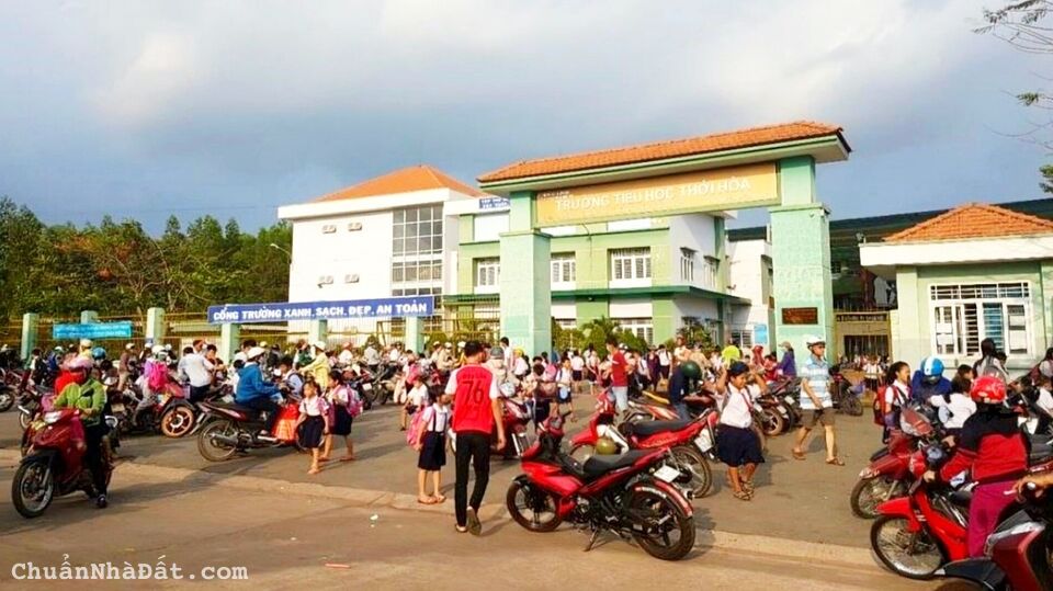 VỀ BẾN TRE ĐỊNH CƯ SANG GẤP ĐẤT VÀ TRỌ Ở BÌNH DƯƠNG. GIÁ 1TY140TR .THU NHẬP 30TR/THÁNG.