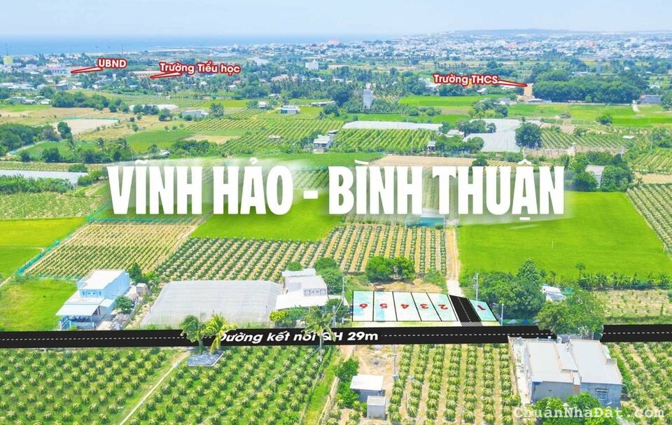 💥Đất biển hot nhất Vĩnh Hảo- Bình Thuận- Đầu Tư ngay trước khi hết cơ hội 💥