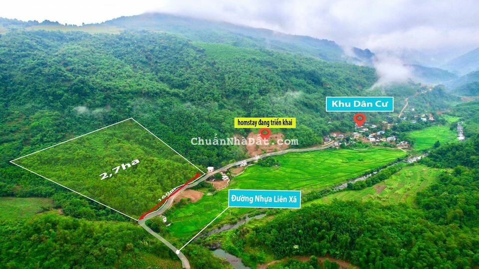 Diện tích: 27.846m2 RSX, sẵn quy hoạch ONT