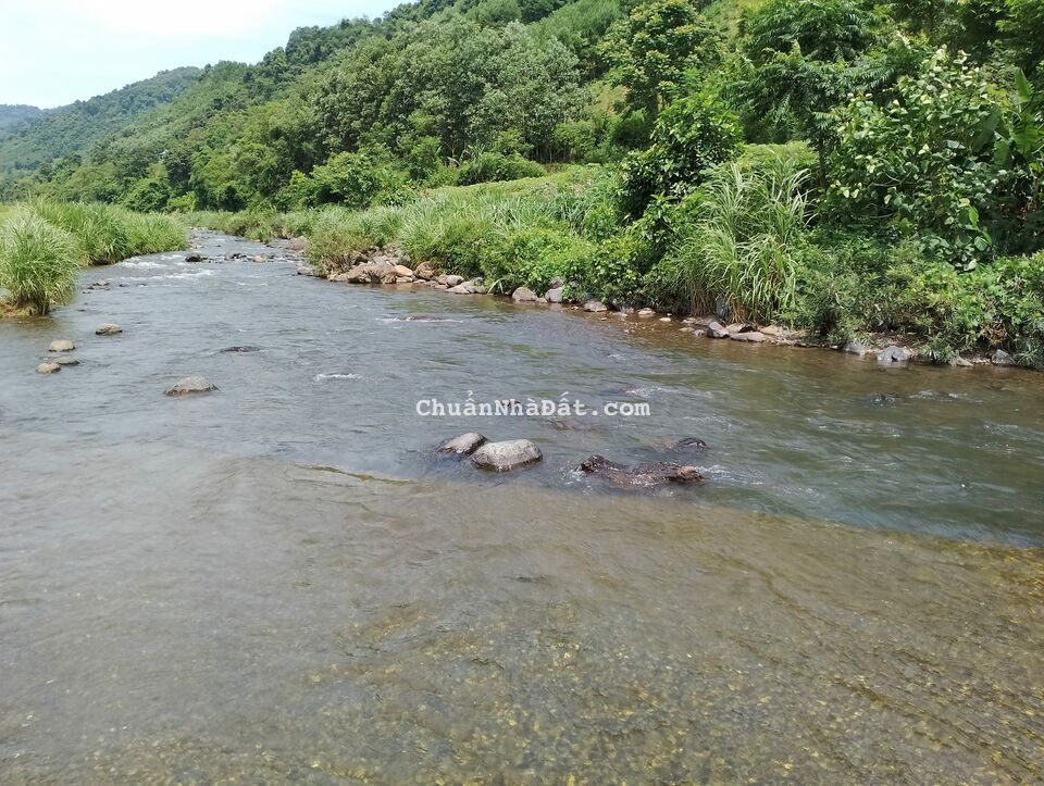 Thế đất cao thoáng, dưới có suối to chảy quanh năm, view cánh đồng đẹp, nằm trong khu dân cư 