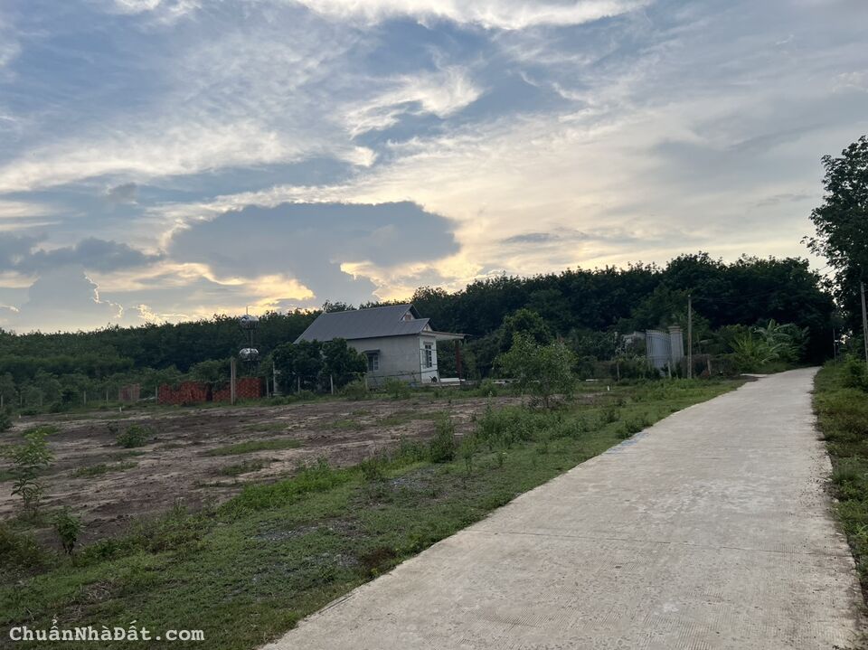 ngộp ngân hàng cần bán gâp sào đất 500m rẻ hơn thị trường 150tr