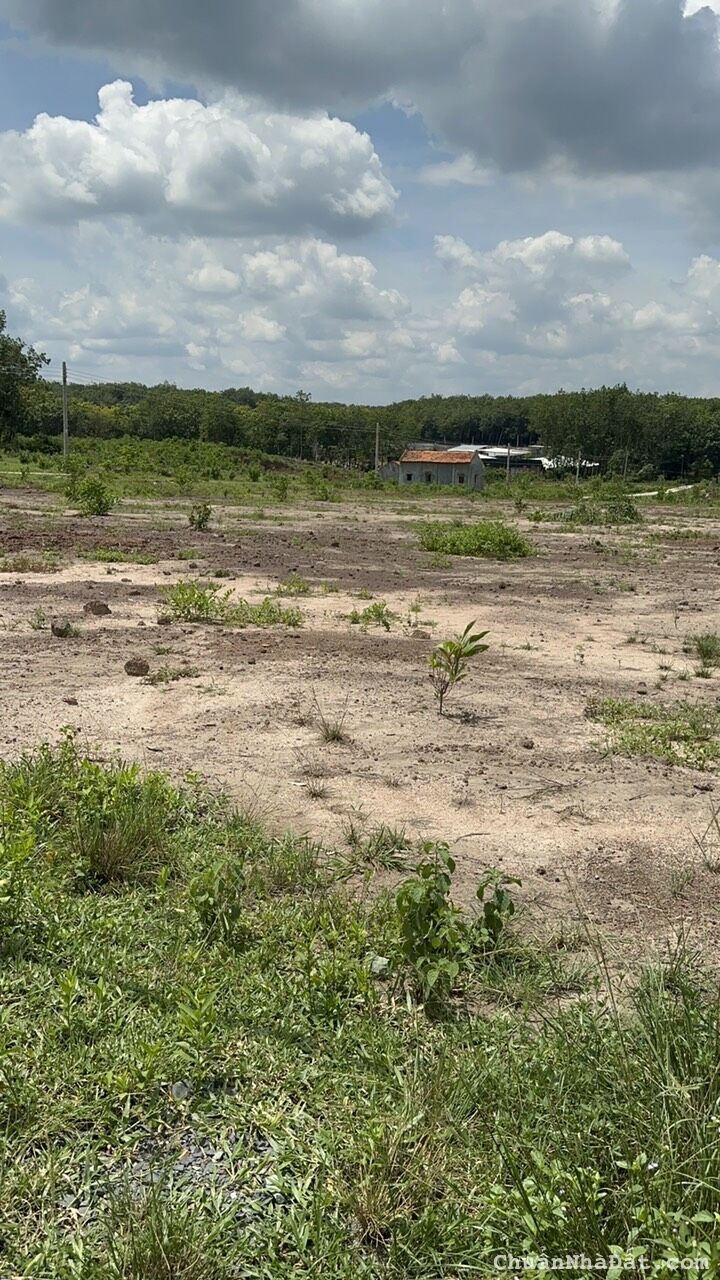 e cần bán gấp sào đất 500m giá cực rẻ sổ riêng