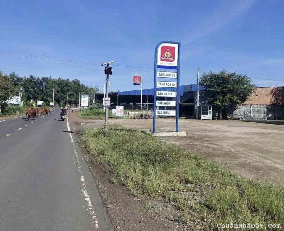 hạ giá sập sàn bán gấp lô đất 200m ngay mặt tiền đường nhựa sổ riêng hạ giá sập sàn bán gấp lô đất 200m ngay mặt tiền đường nhựa sổ riêng