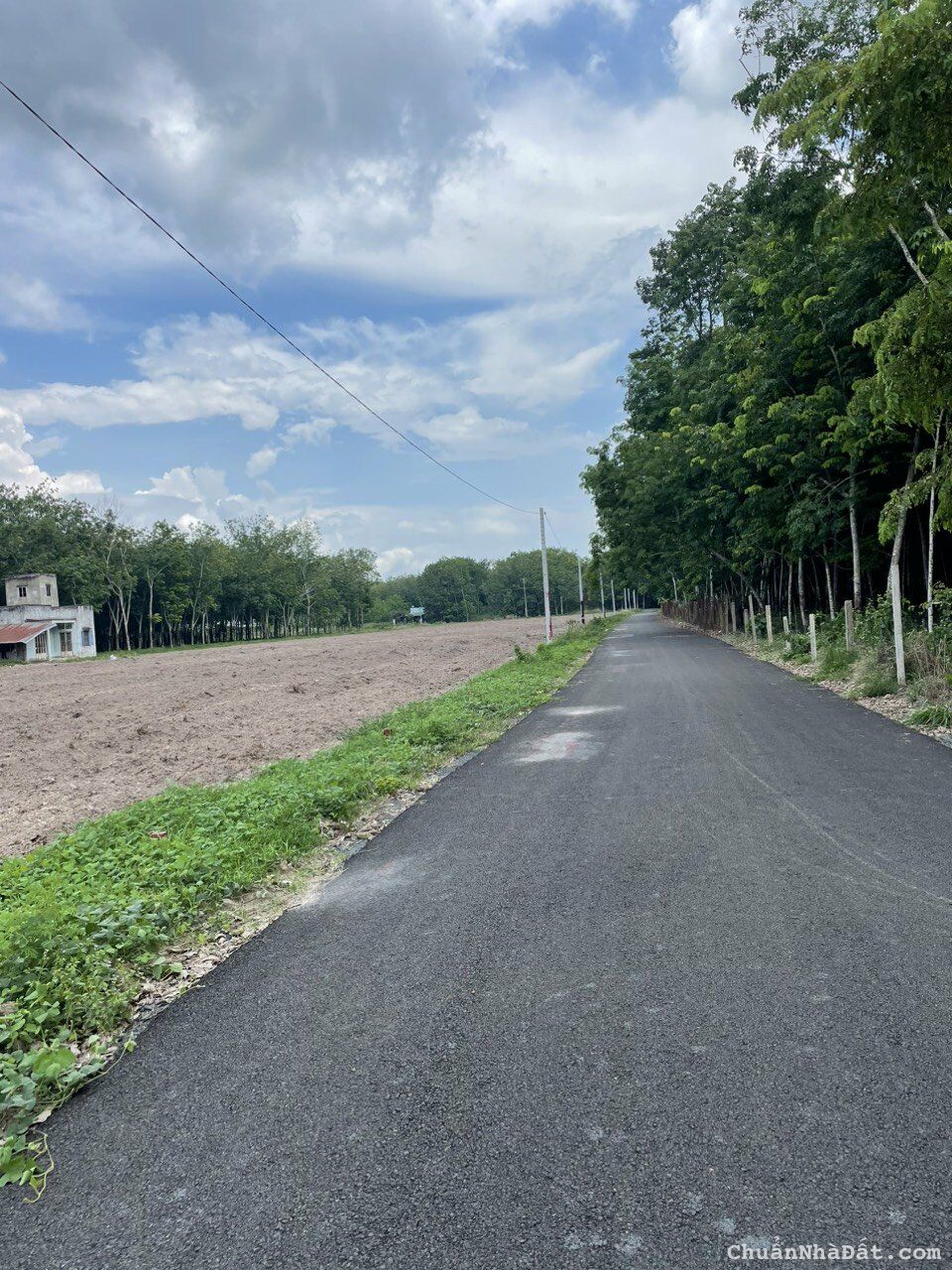 Làm ăn thua lỗ nên tôi cần bán gấp lô đất ngay mặt tiền đường sổ sẵn Làm ăn thua lỗ nên tôi cần bán gấp lô đất ngay mặt tiền đường sổ sẵn