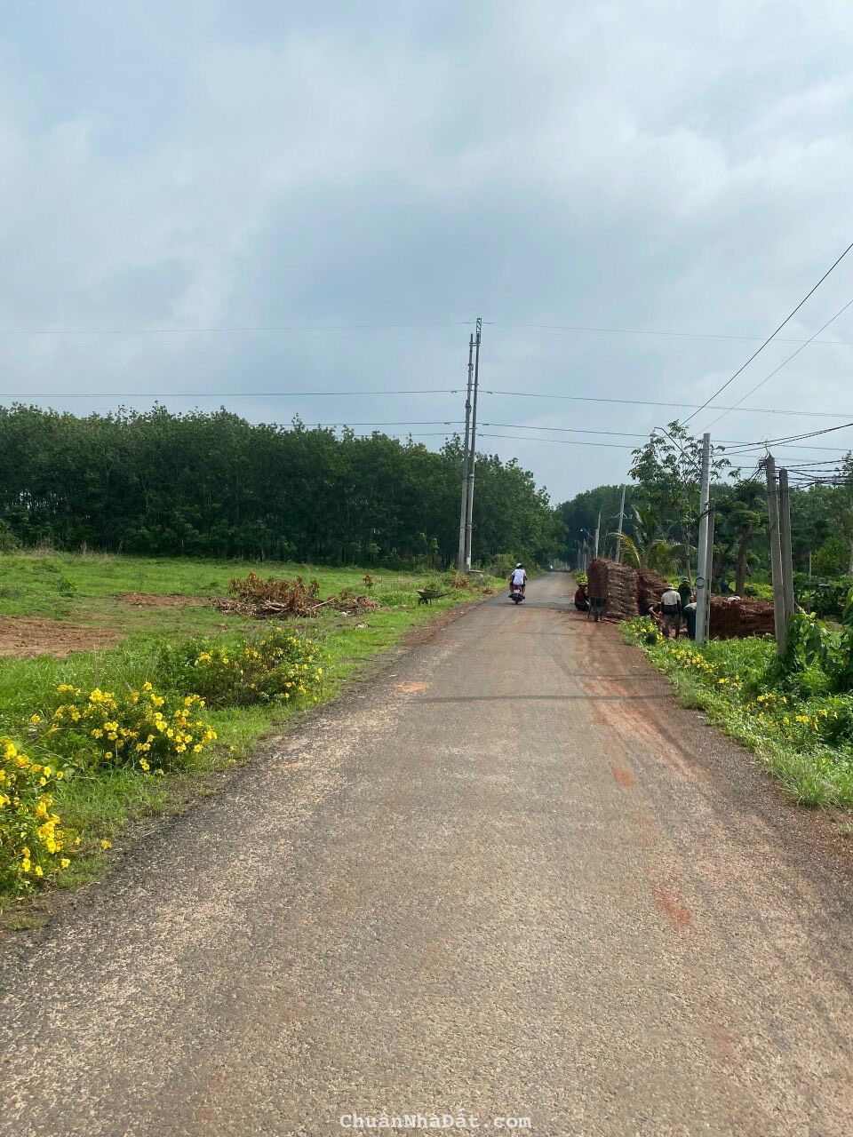 tôi cần bán gấp 2 lô liền kề 1000m sổ sẵn giá chỉ 395tr/lo tôi cần bán gấp 2 lô liền kề 1000m sổ sẵn giá chỉ 395tr/lo