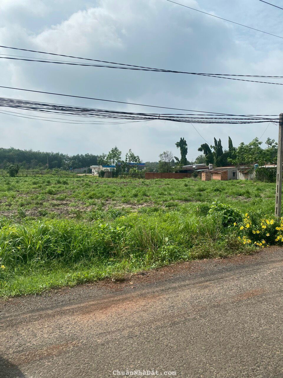 tôi cần bán gấp 2 lô liền kề 1000m sổ sẵn giá chỉ 395tr/lo tôi cần bán gấp 2 lô liền kề 1000m sổ sẵn giá chỉ 395tr/lo