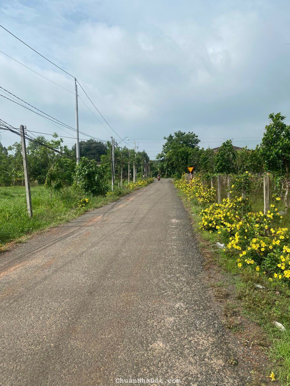 tôi cần bán gấp 2 lô liền kề 1000m sổ sẵn giá chỉ 395tr/lo tôi cần bán gấp 2 lô liền kề 1000m sổ sẵn giá chỉ 395tr/lo