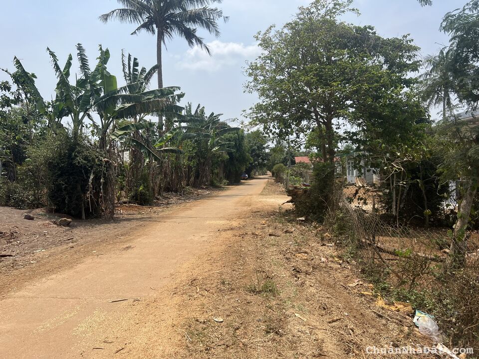 Đất Nền sổ hồng , xã Ea Kênh, 2 lô liền kề _ hẻm cấp 1 quốc lộ 26 full thổ cư. Đất Nền sổ hồng , xã Ea Kênh, 2 lô liền kề _ hẻm cấp 1 quốc lộ 26 full thổ cư.