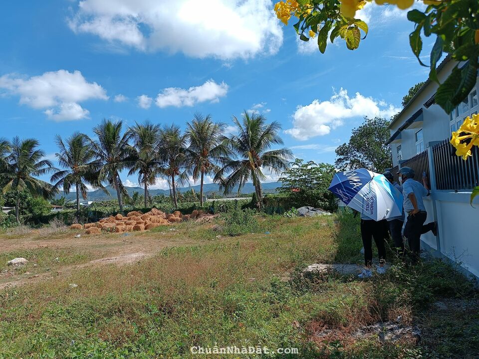 đất ven biển Vĩnh Hảo- Bình Thuận lô đất biển rẻ nhất Việt Nam 