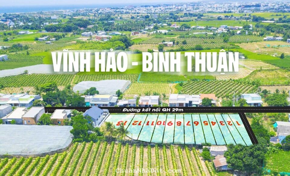 đất ven biển Bình Thuận đường 29m giá 6tr2/m2 chuẩn pháp lý 