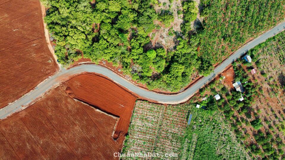 Đất TO VẬT VẢ GIÁ CẢ RẺ BÈO NHANH TAY NHANH TAY