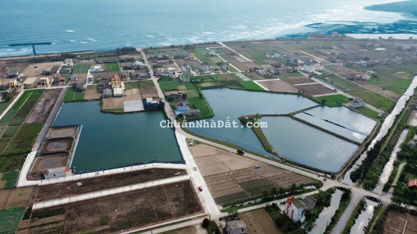 Bán nhanh 980 Triệu 1 Lô Đất Nền Biệt Thự Mặt Biển Quất Lâm, Ven hồ Liên Phong