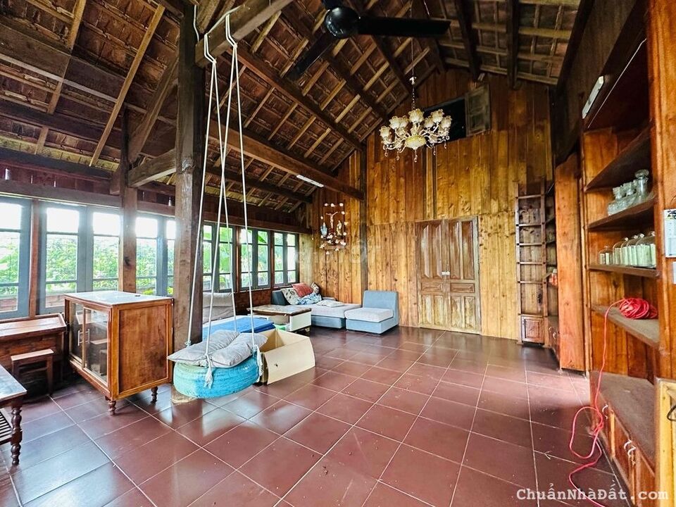 💥Nhà Vườn TC 13*35m,Đầu Đường A1,Phạm Ngũ Lão thôn 4,gần Vành Đai,nhiều lô khác 💥Nhà Vườn TC 13*35m,Đầu Đường A1,Phạm Ngũ Lão thôn 4,gần Vành Đai,nhiều lô khác