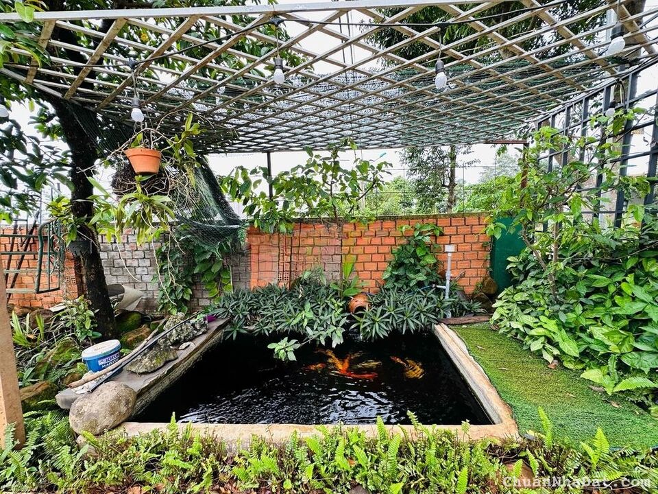 💥Nhà Vườn TC 13*35m,Đầu Đường A1,Phạm Ngũ Lão thôn 4,gần Vành Đai,nhiều lô khác 💥Nhà Vườn TC 13*35m,Đầu Đường A1,Phạm Ngũ Lão thôn 4,gần Vành Đai,nhiều lô khác