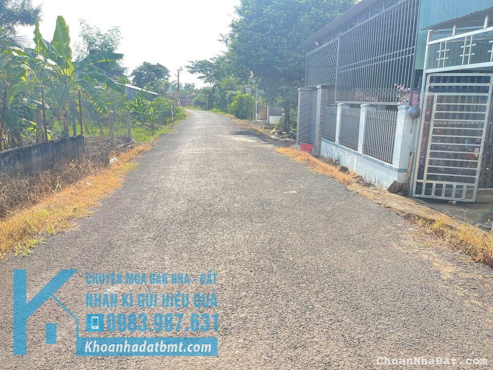 💥Bán Đất Tặng Nhà TC 5*50m,,đường Số 2,Phạm Ngũ Lão thôn 8,qua CHợ,nhiều lô khác 💥Bán Đất Tặng Nhà TC 5*50m,,đường Số 2,Phạm Ngũ Lão thôn 8,qua CHợ,nhiều lô khác