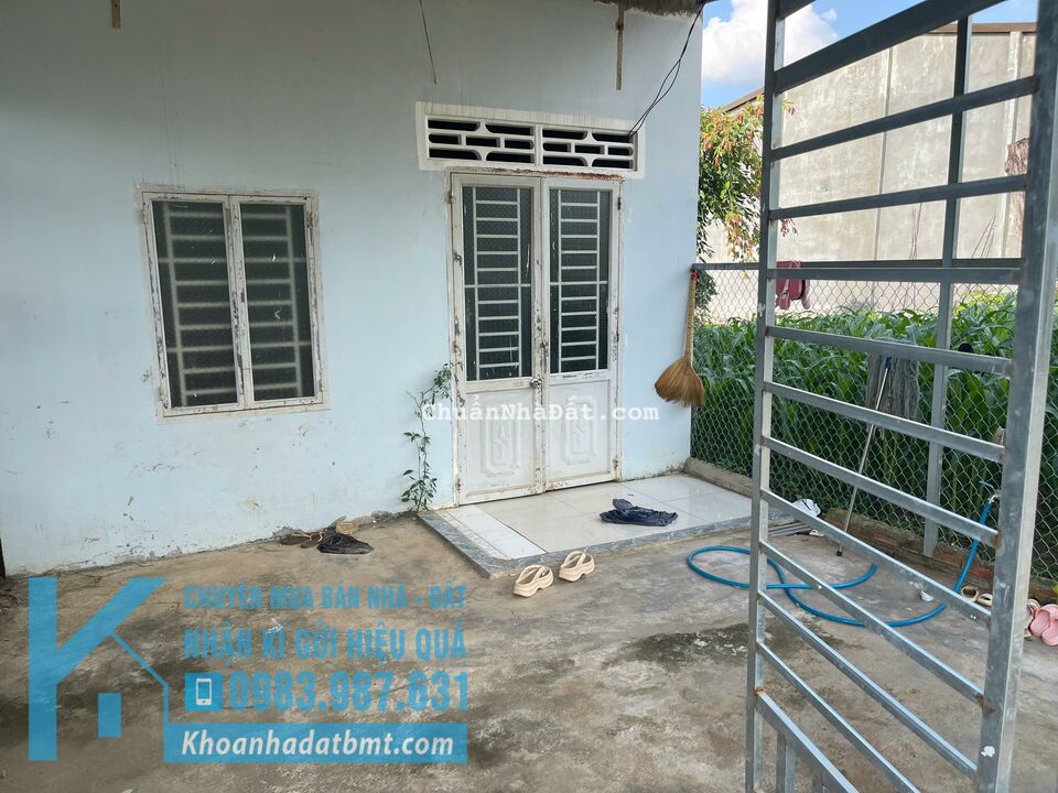 💥Bán Đất Tặng Nhà TC 5*50m,,đường Số 2,Phạm Ngũ Lão thôn 8,qua CHợ,nhiều lô khác 💥Bán Đất Tặng Nhà TC 5*50m,,đường Số 2,Phạm Ngũ Lão thôn 8,qua CHợ,nhiều lô khác