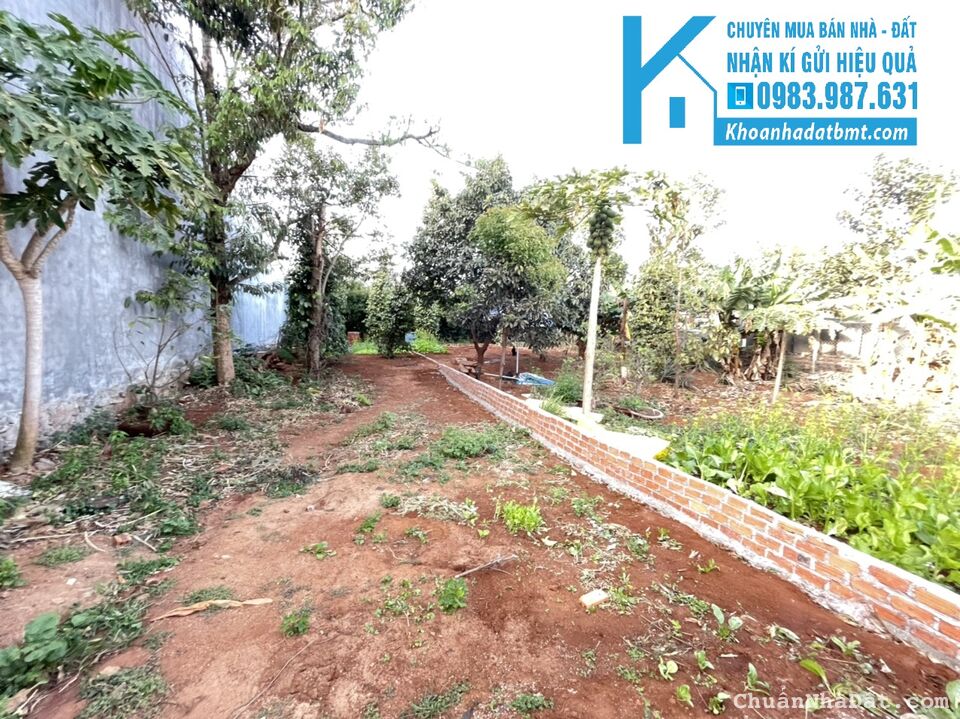 💥Đất TC,6*26m,1t750tr,hẻm 861 Hà Huy Tập,có lô mặt tiền 💥Đất TC,6*26m,1t750tr,hẻm 861 Hà Huy Tập,có lô mặt tiền