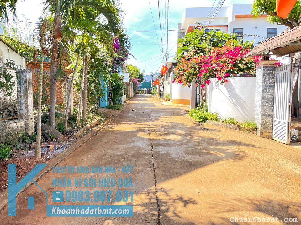 💥Đất TC 8*23m,hẻm 92 Nguyễn Xuân Nguyên.nhiều lô xung quanh