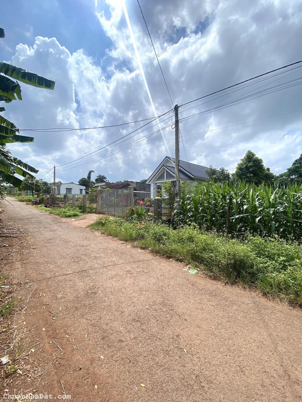 💥Lô TC ,5*47m,495tr ,thôn 5,Eabar,gần chợ,nhiều lô xung quanh 💥Lô TC ,5*47m,495tr ,thôn 5,Eabar,gần chợ,nhiều lô xung quanh