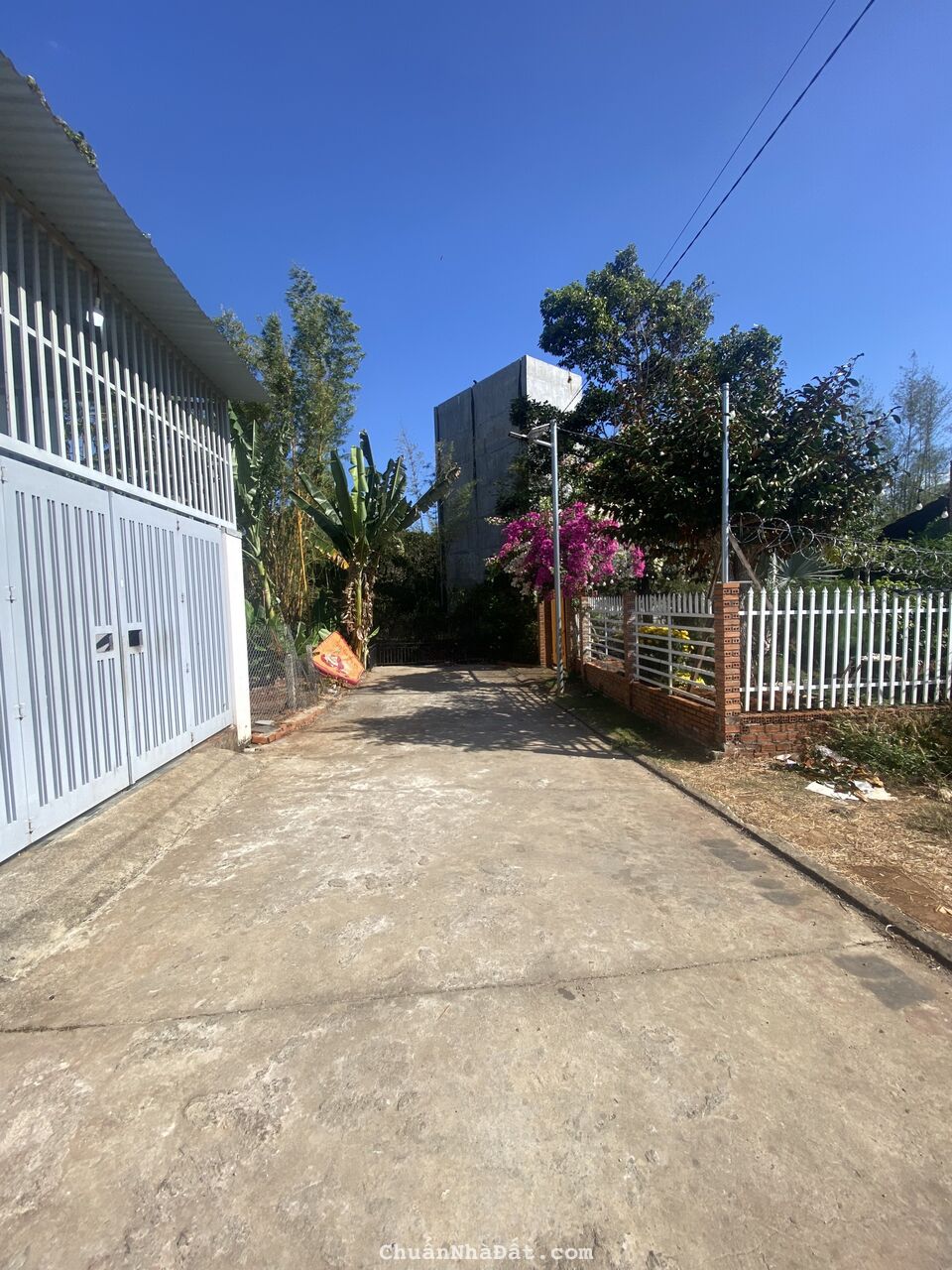 💥Đất TC 5*22m,Hẻm 107 Nguyễn Phúc Chu,nhiều lô khác