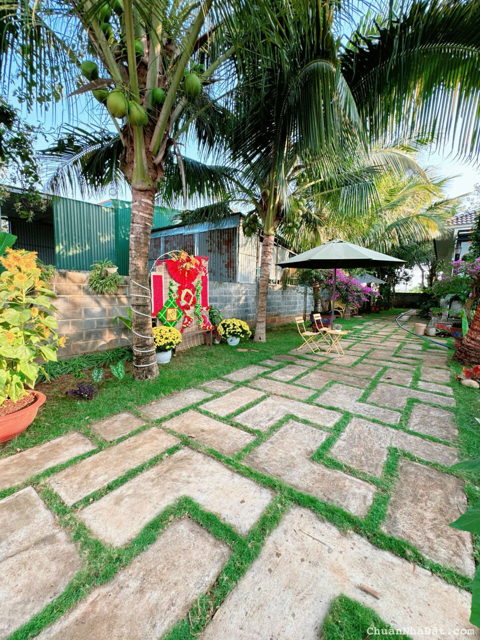 💥NHÀ VƯỜN TC 15,5*41m,hẻm Ywang Vừa Qua CHỢ EAKAO 💥NHÀ VƯỜN TC 15,5*41m,hẻm Ywang Vừa Qua CHỢ EAKAO