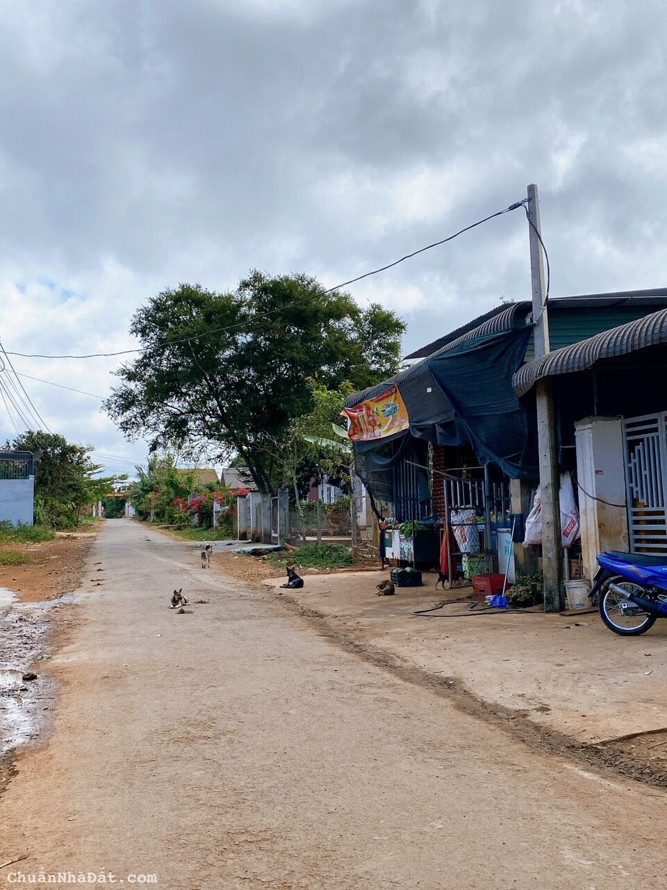 💥Lô TC 5*54m,440tr ,thôn 5,Eabar,gần chợ,nhiều lô xung quanh 💥Lô TC 5*54m,440tr ,thôn 5,Eabar,gần chợ,nhiều lô xung quanh